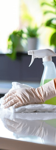 Regular Clean Regular Cleaning Services for Homes